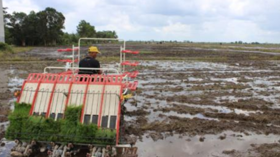 Optimalkan Produksi Pasca-Lebaran, Kementan Dorong Penyebaran Alat Pertanian
