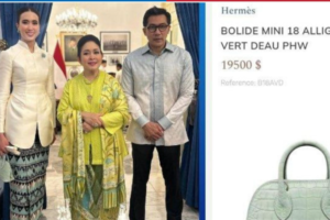 Hadiri Open House Presiden, MenPar Widiyanti Sorotkan Tas Hermès Rp300 Juta yang Viral